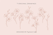Cherry Blossoms Floral Art, a Decorative Illustration by Pigment Café (Thumbnail 2 of 6)