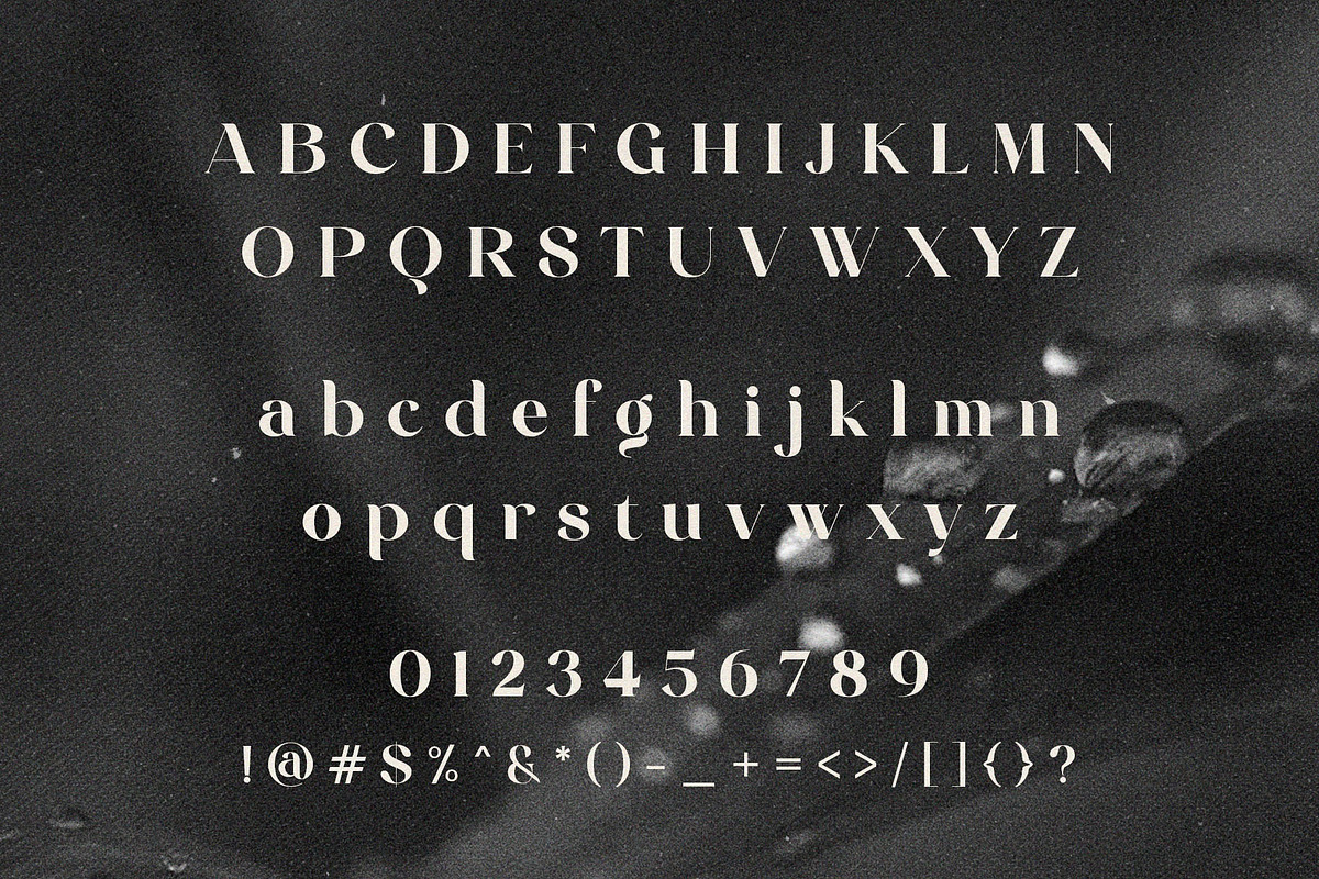 Celinda Regular Font, a Script Font by Believe Creatives (Photo 10 of 10)