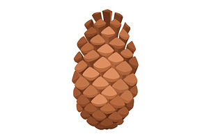 Fir or pine cone. Nature decoration, an Object Illustration by the8monkey