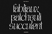 TAN - GRANDEUR, a Sans Serif Font by TanType (Thumbnail 7 of 25)