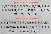 Kamila | Modern Slab Serif Font, a Slab Serif Font by MchCrafter (Thumbnail 11 of 11)