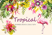 Tropical collection. Summer design., a Decorative Illustration by Lisima (Thumbnail 1 of 19)