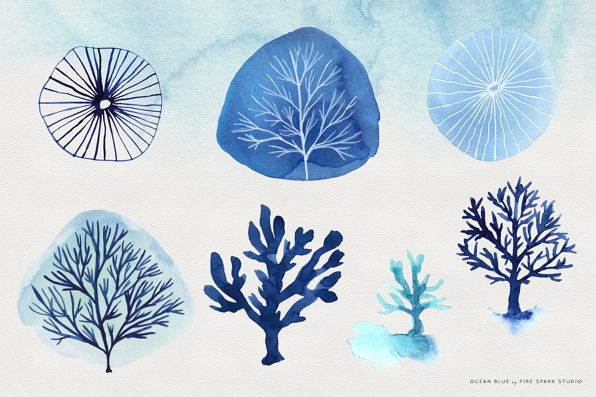Ocean Life Watercolor Illustrations, an Illustration by Fire Spark Studio (Photo 2 of 8)