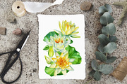 Lotus flowers and koi fish, an Animal Illustration by Hanna Hryharenka (Thumbnail 5 of 13)