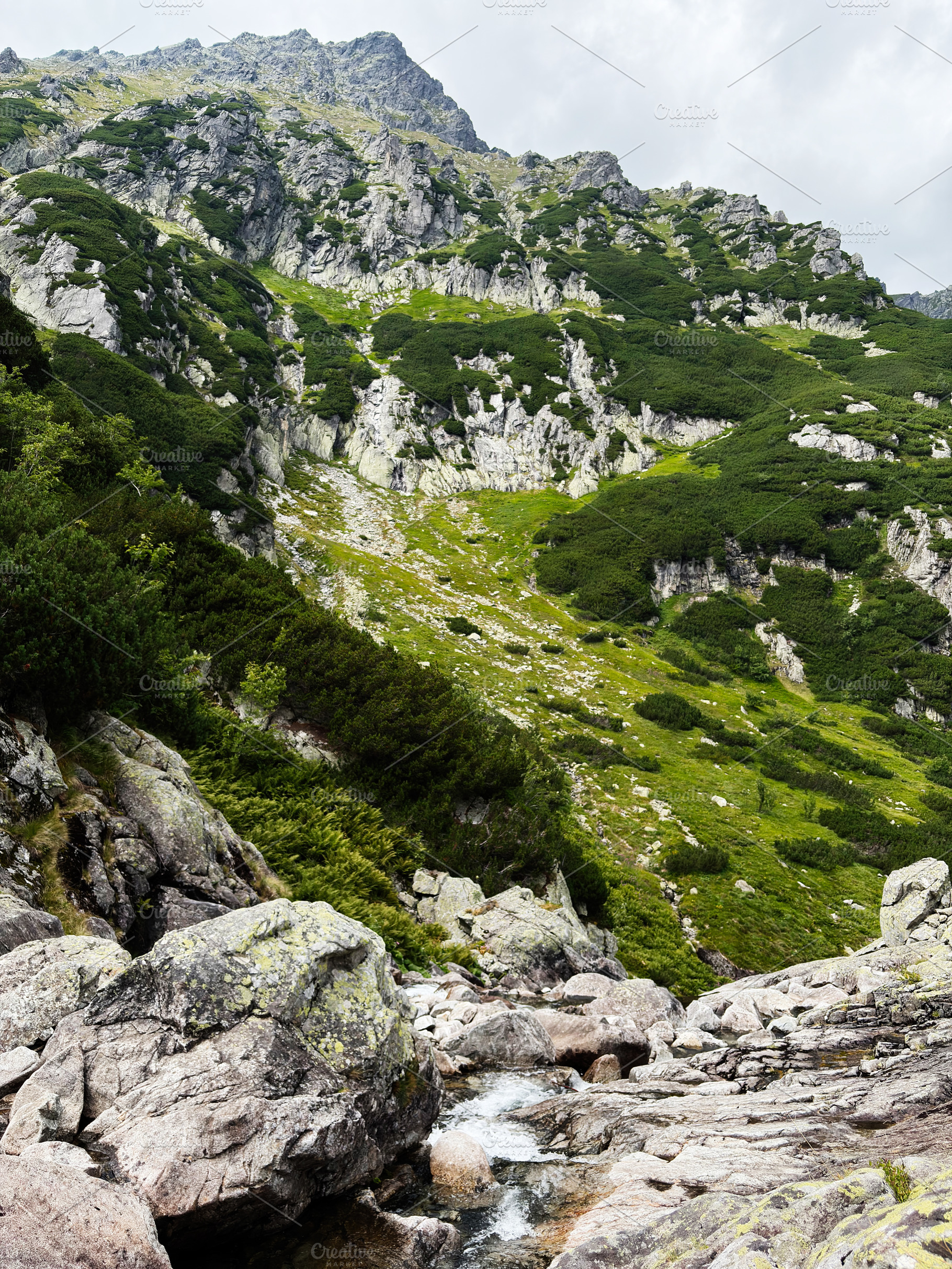 Mountain landscape in Zakopane Poland with rocky cliffs and lush green slopes b, a Nature Photo by AS photostudio