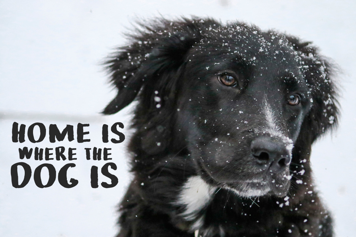 SnowUP Brush Font preview 5