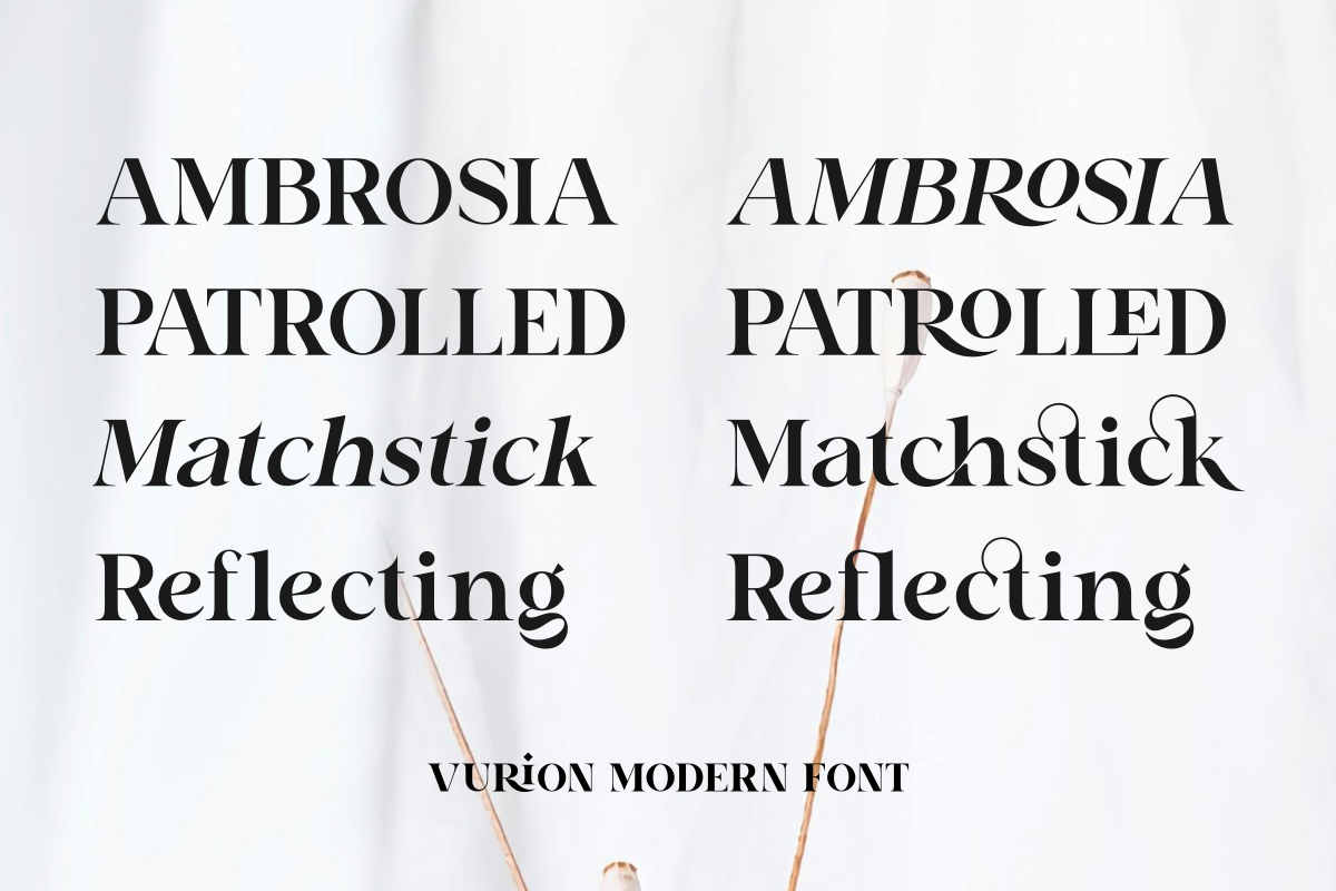 Vurion, a Serif Font by Zafiratype (Photo 9 of 10)