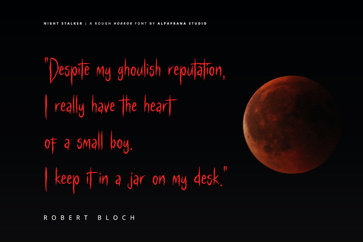 Night Stalker - Rough Font, a Script Font by Alpaprana (Photo 9 of 12)