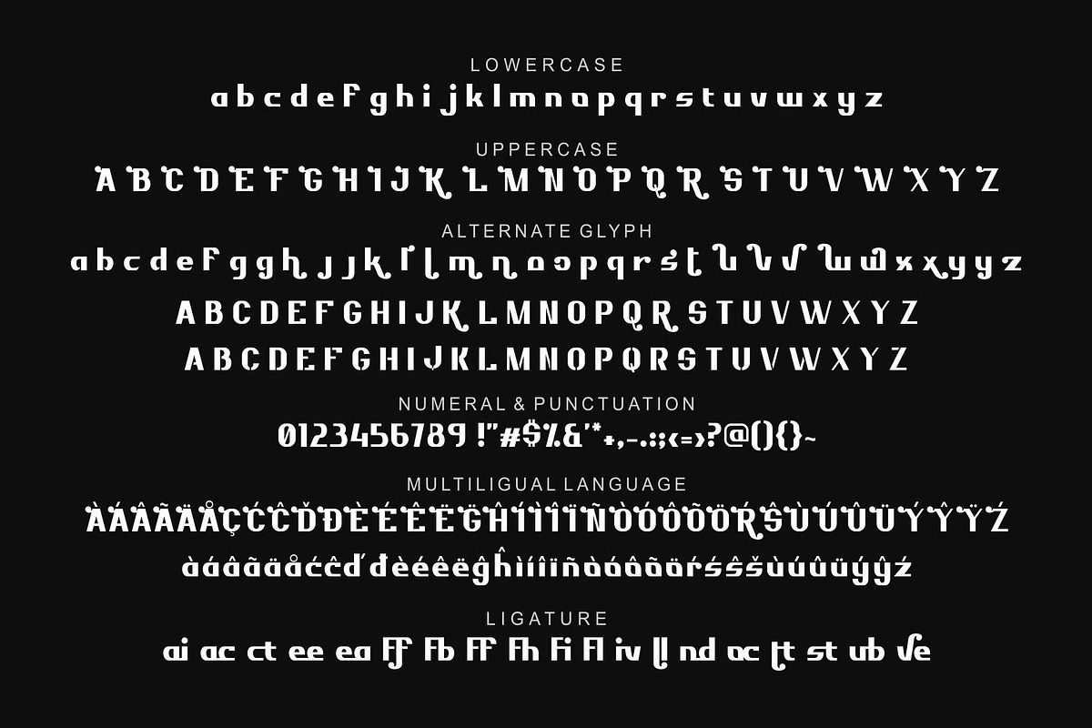 Realliv - A Modern Typeface, a Font by nIznaztype (Photo 4 of 6)
