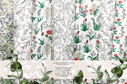 Botanical Wildflowers. Patterns, an Illustration by Diana Kovach (Thumbnail 9 of 11)
