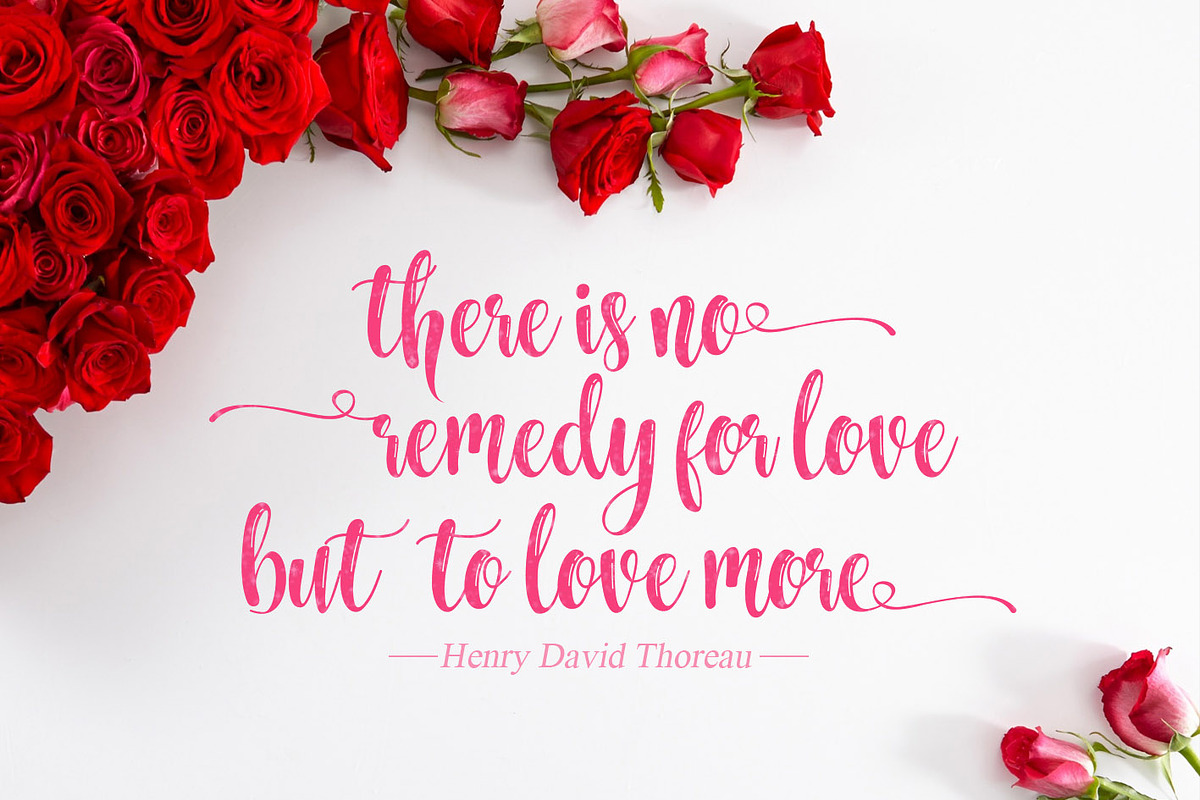 Nelvita Script (Duo Font + Extra) preview 2