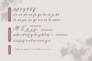 Pimfloth Bartauly | Beauty Script, a Script Font by Denustudios (Thumbnail 12 of 13)
