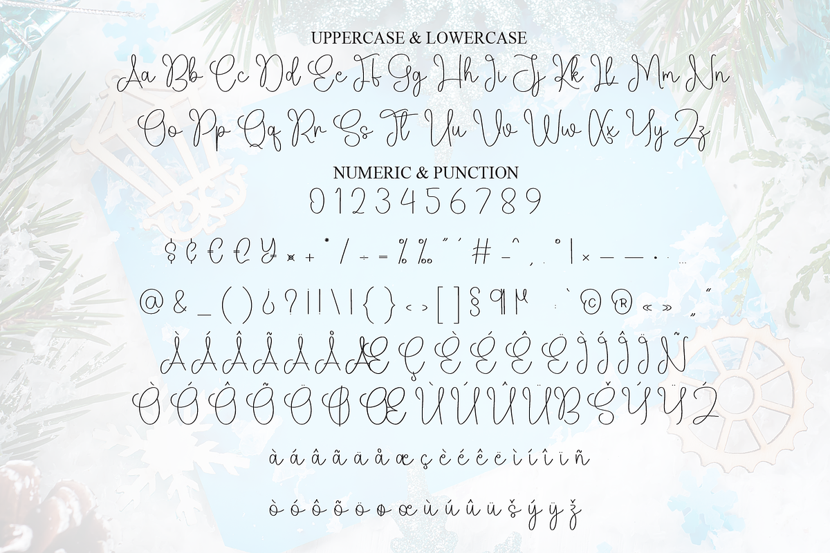 Winter Birthday | Script Font, a Handwritten Font by Scratchones (Photo 7 of 9)