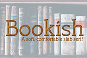 Bookish, a comfortable slab serif, a Slab Serif Font by Radiqx Press (Thumbnail 2 of 2)