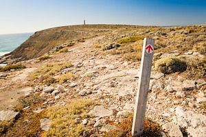 Hiking Trail Sign Post Arrows, a Nature Photo by THP Creative