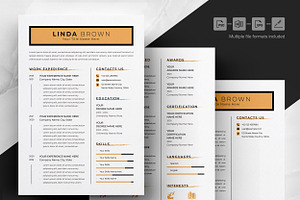 Simple & Sophisticated Resume