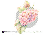 Watercolor Grapes Clipart, an Object Illustration by crafty (Thumbnail 2 of 11)