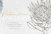 One Line Modern Sketch Protea Flower, a Decorative Illustration by Alisa Fimen Design (Thumbnail 1 of 11)