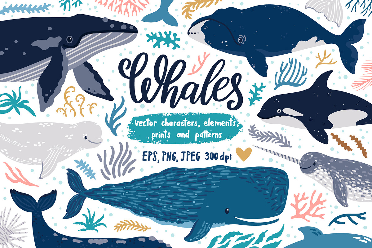 Cute Whales. Characters & patterns, an Animal Illustration by MagicForestory (Photo 1 of 12)