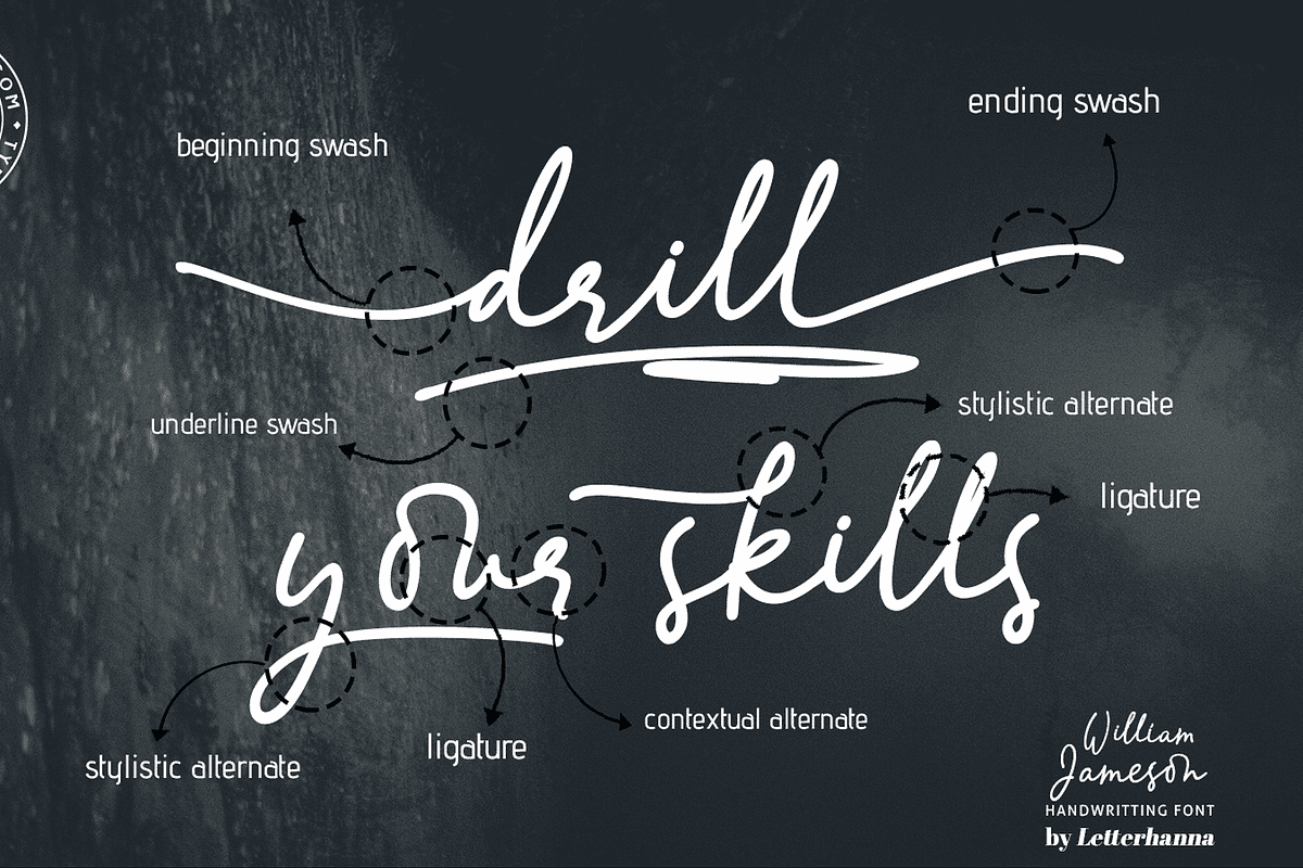 William Jameson Font, a Handwritten Font by Letterhanna Studio (Photo 5 of 15)