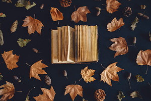 Vintage book and autumn maple leaves, a School & Education Photo by hitdelight