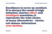 SB Edila - Modern Slab Serif Font, a Serif Font by MaikoHatta (Thumbnail 2 of 9)