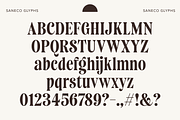 Saneco | Display Serif, a Serif Font by Jolicia Type (Thumbnail 7 of 12)