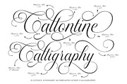 Callontine Script Pro, a Script Font by IM Studio (Thumbnail 2 of 13)