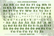 Calby Rough, a Serif Font by Craft Supply Co. (Thumbnail 8 of 8)