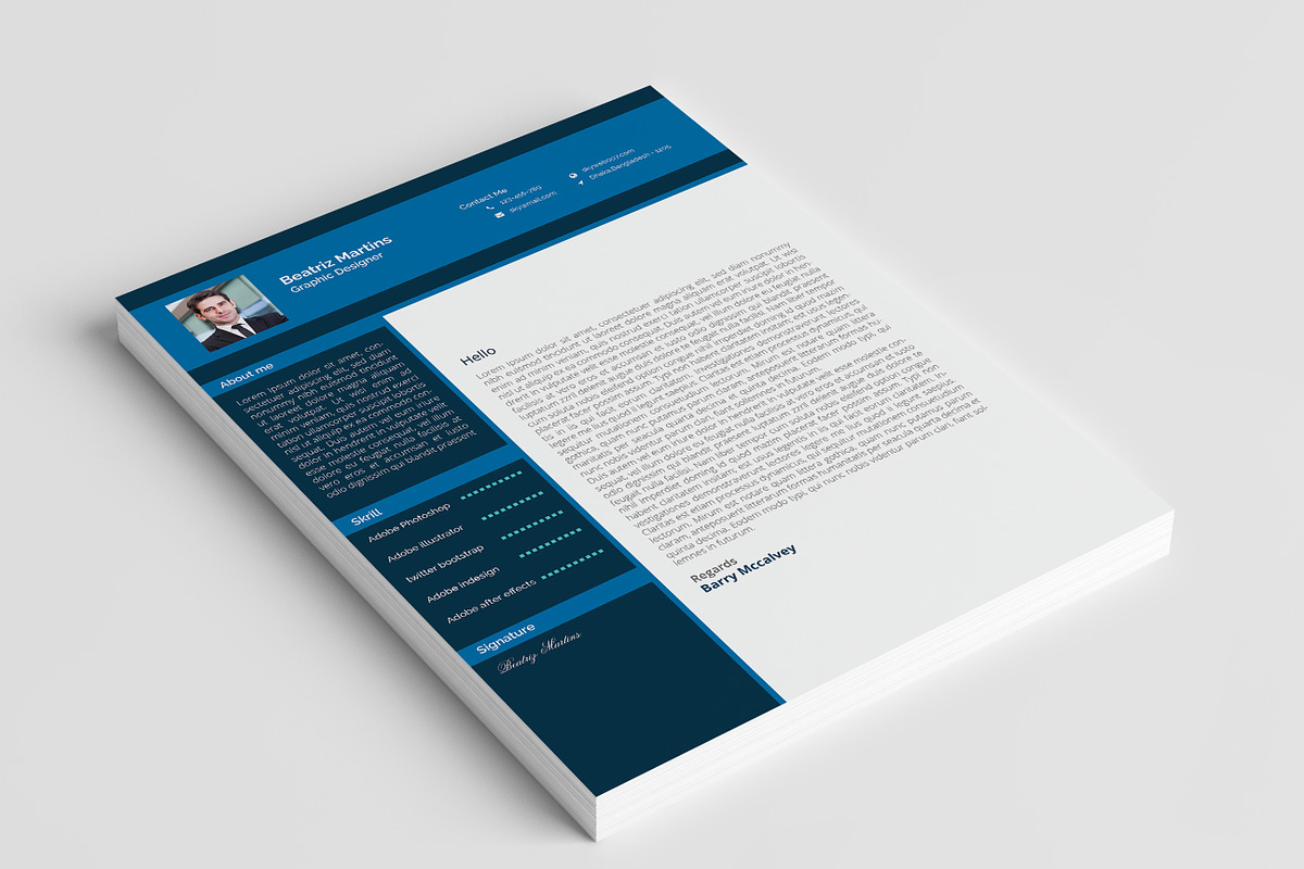 Dark Resumes, a Resume Template by Themefisher (Photo 3 of 5)