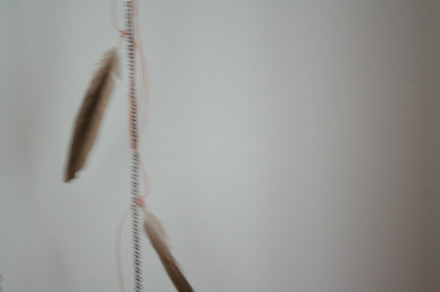 soft feathers
