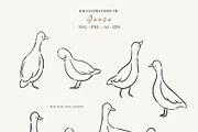 Line Art Cute Geese & Florals, an Animal Illustration by Jenteva Art (Thumbnail 2 of 16)