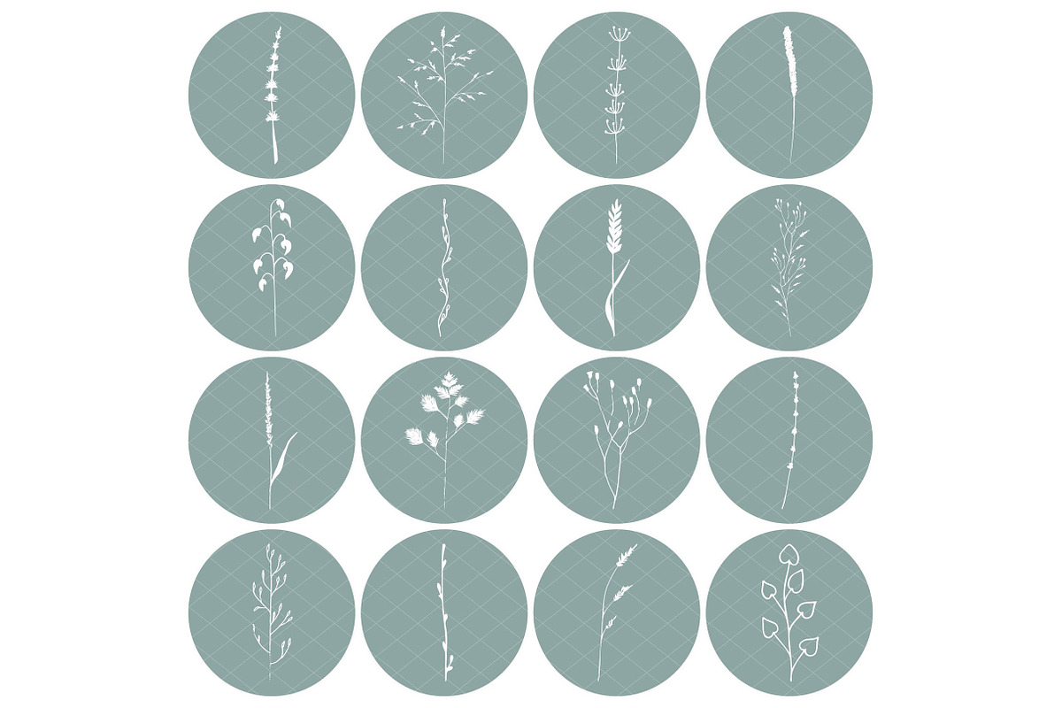 Botanical Clip art Floral vector, an Illustration by DigitalArsiart (Photo 4 of 6)