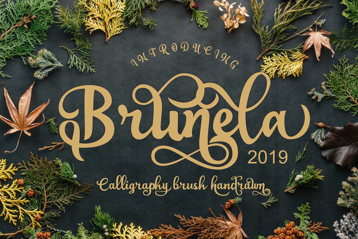 Brunela - Handrawn Calligraphy font preview 2