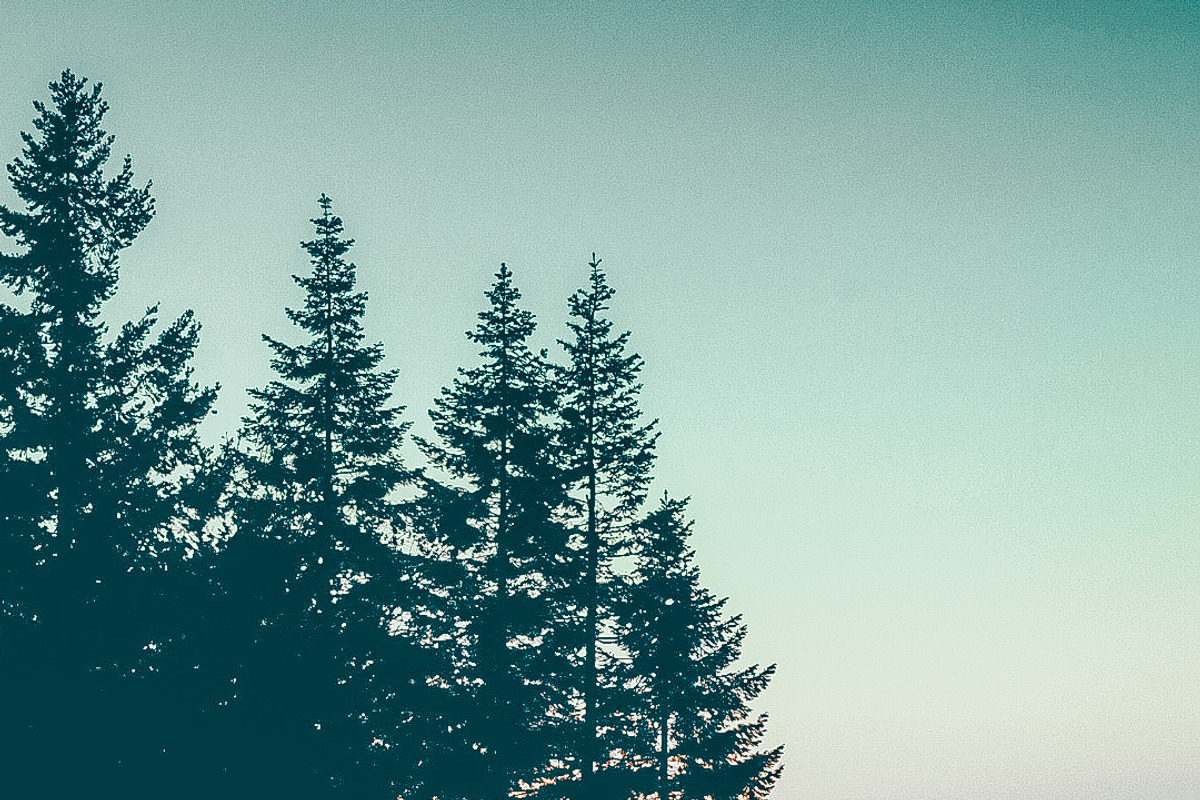 Moody Inspired Mobile LR Preset v2, a Preset Add-On by Fltrr Lightroom Presets (Photo 13 of 14)