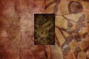 Faded Nature - Textured Backgrounds, a Background Graphic by Lidberia (Thumbnail 7 of 11)