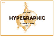 Vegetables Vintage Illustrations, an Illustration by hypegraphic (Thumbnail 4 of 4)