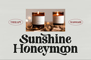 Mistoni, a Serif Font by Gatype (Thumbnail 4 of 10)