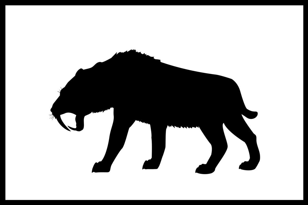 Set 25 silhouettes extinct animals, an Icon by kozyrevaelena (Photo 4 of 4)