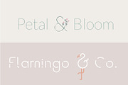 Graphic Ampersands for Logos Kit, a Branding & Logo Template by Tropical Type (Thumbnail 6 of 8)
