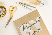 Dandelion, a Script Font by Larin Type Co. (Thumbnail 12 of 14)