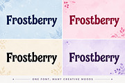 Frostberry, a Serif Font by Wow Magic (Thumbnail 5 of 5)