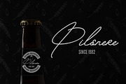 Betriciya Signature, a Script Font by GloowStudio (Thumbnail 8 of 11)