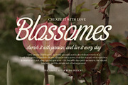 Fasmina Elegant Script Font, a Script Font by Elegant Font (Thumbnail 5 of 8)