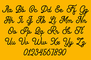 Yoriglo - Monoline Script Font, a Script Font by Arendxstudio (Thumbnail 9 of 9)