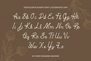 Thistlewyn by Cindy Roaming Designs, a Script Font by cindyroamingdesigns (Thumbnail 4 of 6)