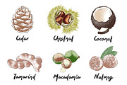 Set of 44 organic food sketches, a Food Illustration by Akimo Mia (Thumbnail 6 of 9)