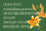 Veloria Palace Classic Serif Font, a Font by PutraCetol Studio (Thumbnail 6 of 6)