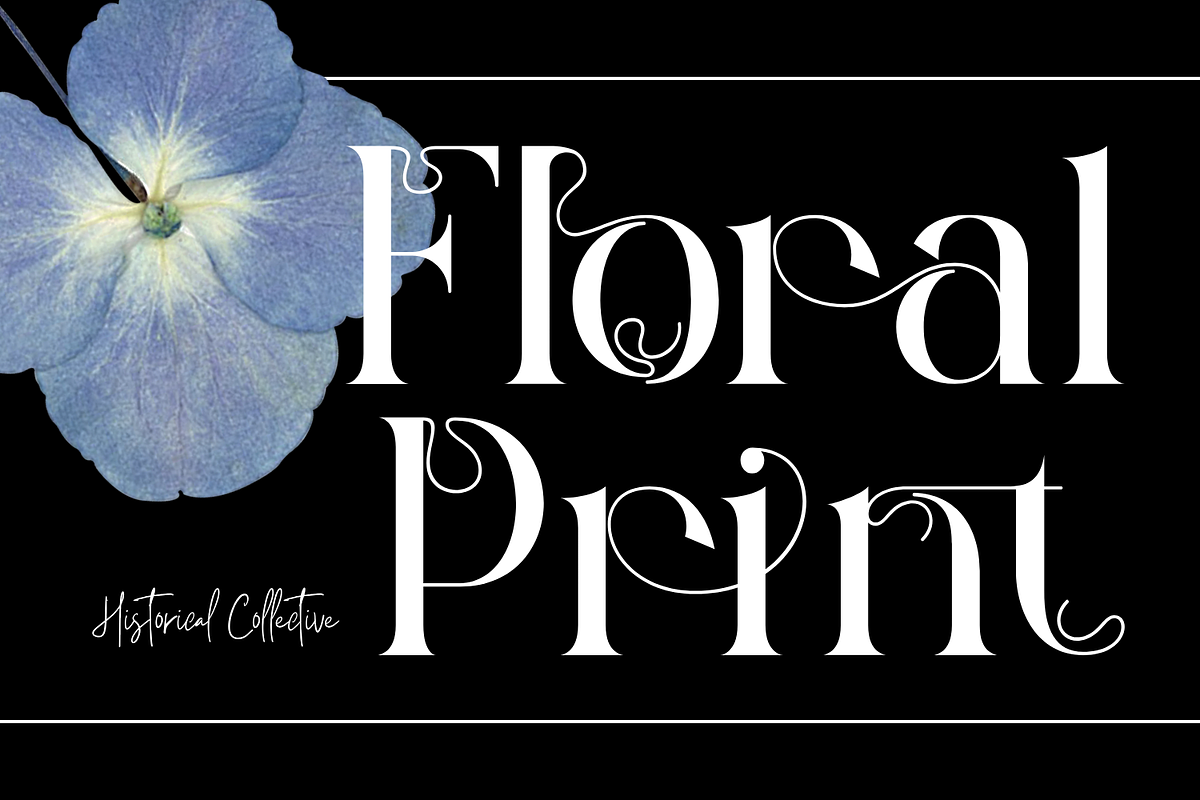 Historical Collective Font, a Serif Font by 177Studio (Photo 6 of 8)