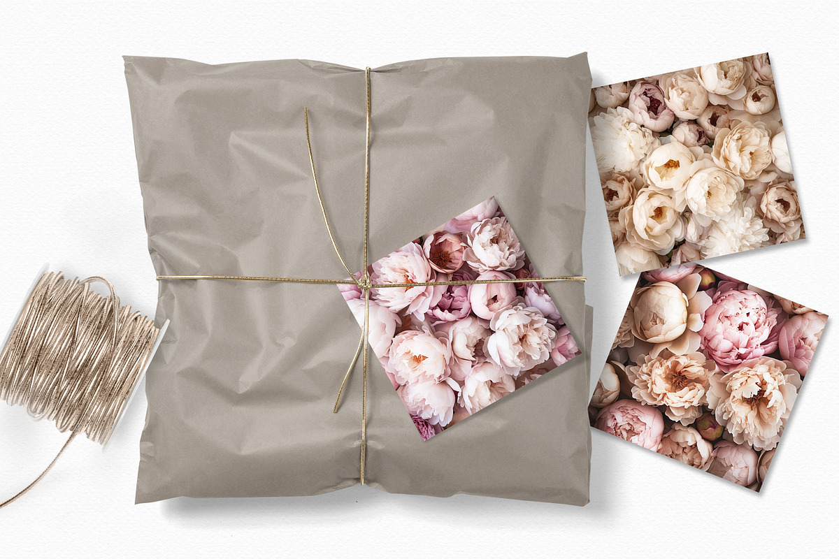 Soft Peonies, a Texture Graphic by rileyBgraphics (Photo 5 of 7)